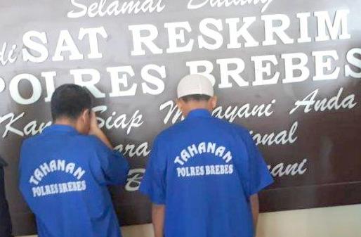 Polisi Buru Pabrik Pembuat Pupuk dan Pestisida Palsu