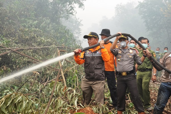 Pemkab Pelalawan Berhasil Antisipasi Karhutla