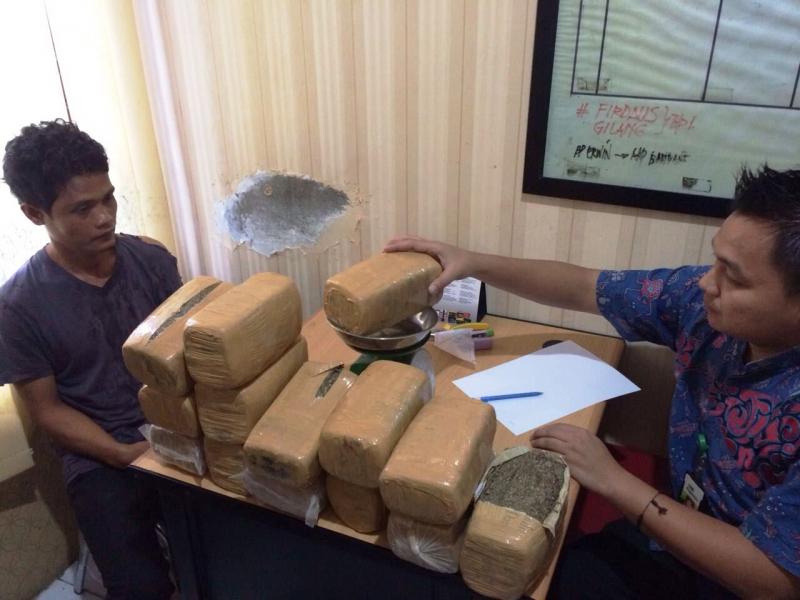 Wuih... Karyawan Bulog Jual Ganja 15 Kg