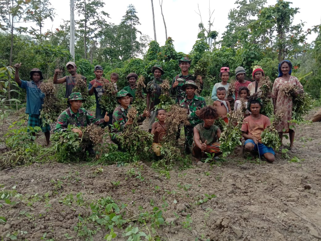 Satgas Yonif RK 136 Ajarkan Penduduk Suku Mausu Ane Mengolah Lahan Kosong