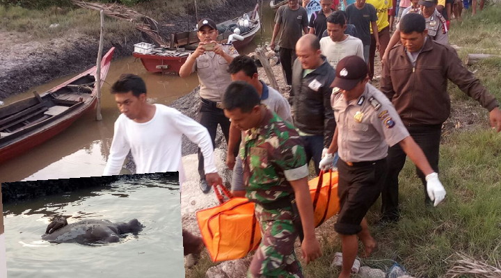 Mayat Telanjang Mengambang Hebohkan Warga Bengkalis