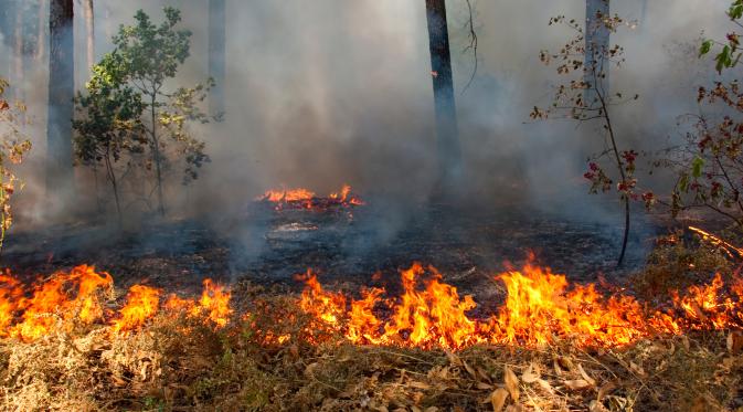 Tujuh Titik Panas di Riau Belum Padam