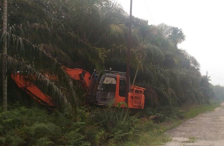 Ribuan Hektar Kawasan Hutan Dirambah, Tim BPPHLHK Sepertinya Tutup Mata