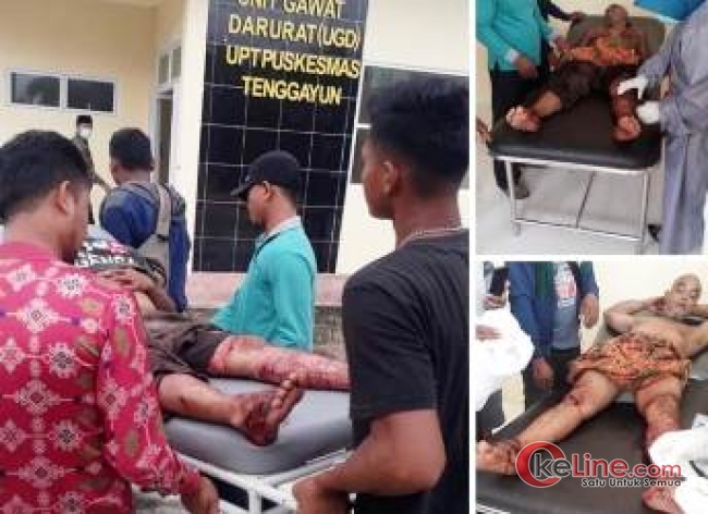 Awas !, Harimau Mengamuk di Bengkalis, Petani Karet Jadi Korbannya