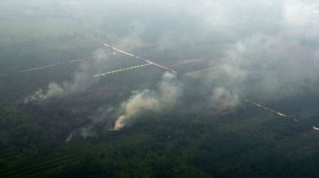 1.136 Warga Pekanbaru Terserang Isfa Akibat Kabut Asap