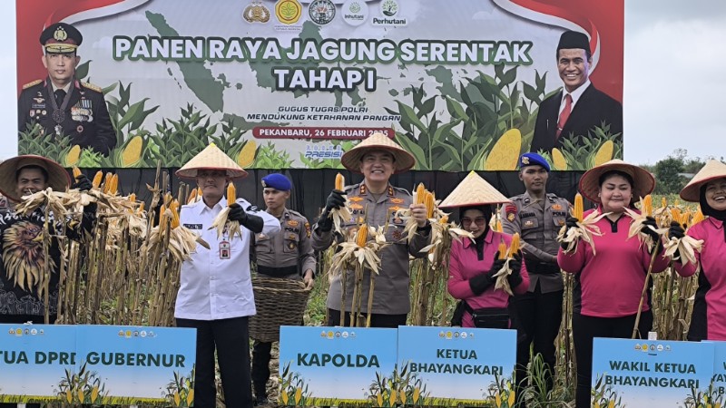 Panen Raya Tahap I Polda Riau Tembus 156,6 Ton Jagung Pipil