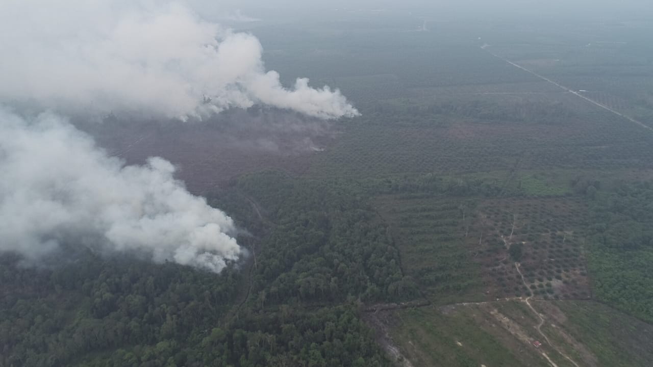 Danramil: Bakar Lahan Bisa Dipenjara