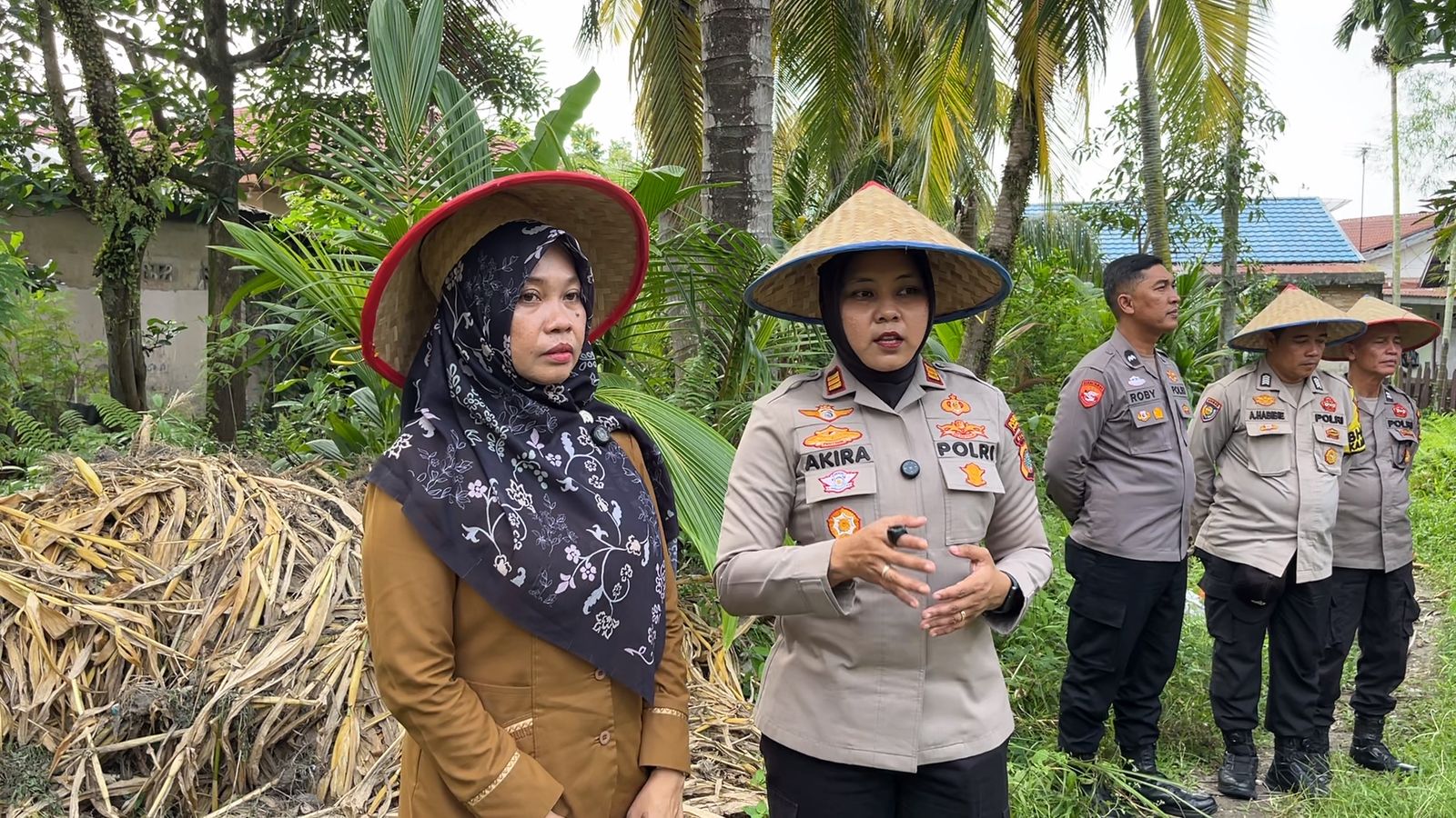 Komitmen Dukung Ketahanan Pangan, Kapolsek Senapelan Penen Cabe Bersama Warga