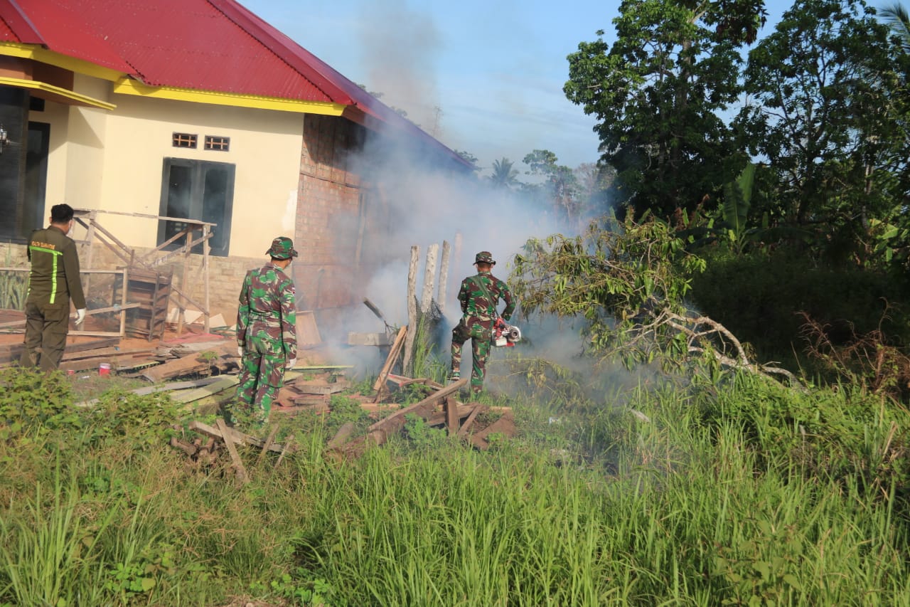 Satgas Yonif 411 Kostrad dan KKP Merauke Lakukan Fogging di Kampung Sota Perbatasan RI-PNG