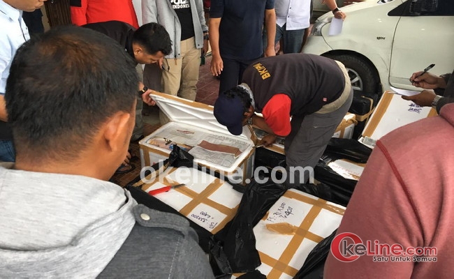 Aktivis Pertanyakan Keberadaan BB Baby Lobster di Kuala Tungkal