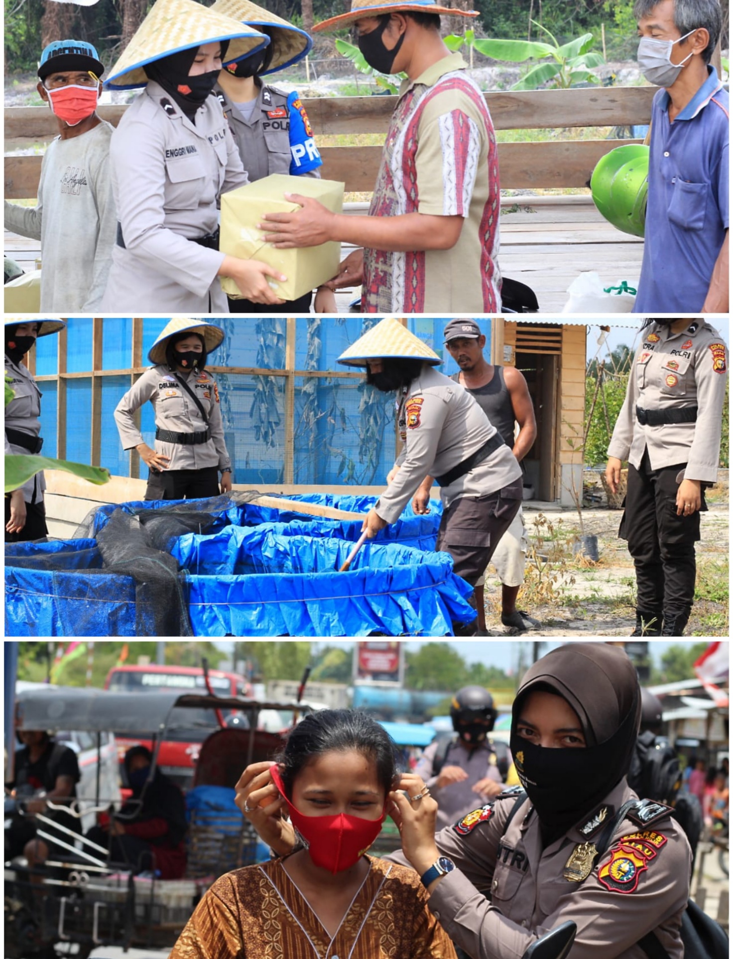 Jelang Hari Jadi Ke 72 , Polwan Polres Rokan Hilir Gelar Bakti Sosial dan Bantu Petani Panen