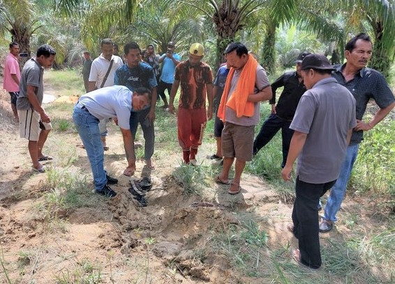 Petani Sawit di Minas Diduga Tewas Mengenaskan Diinjak Gajah