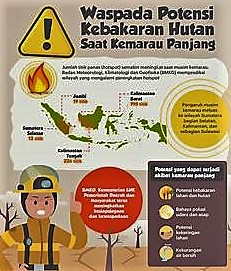 BMKG, 55 hotspot Terpantau di Riau