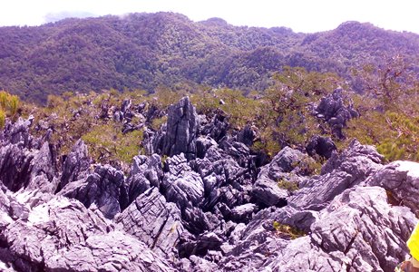 Mahasiwa Pecinta Alam Navernus Terjebak Badai di Gunung Mekongga Dievakuasi