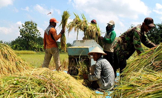 Upaya KemenPUPR Meningkatkan Produksi Padi Terus Dikejar