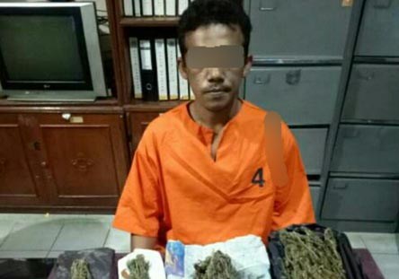 Polisi Tangkap 2 Pengedar Ganja di Inhil