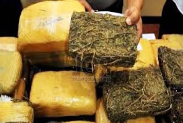 Sopir Sembunyikan 225 Kg Ganja Dalam Keranjang Jeruk