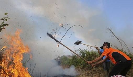 20 Ha Lahan Pemkab Bengkalis Terbakar