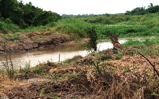 Normaliasi Sungai Kerinci Diduga Ajang KKN