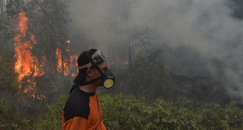 Satelit BMKG Pantau 46 Titik Panas