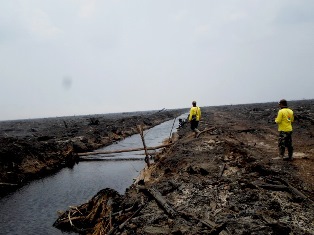 20.790 Buruh Industri Kehutanan Terancam PHK