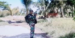 Latihan Perang Dalam Latgab TNI 2023, Morotai Ikut Ambil Bagian