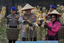 Panen Raya Tahap I Polda Riau Tembus 156,6 Ton Jagung Pipil