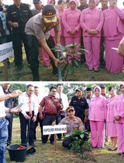 Polri Peduli Penghijauan, Polres Rohil Tanam 2000 Pohon 