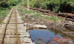 Konfirmasi Elektronik Media Babat Hutan Salahi Izin, PT. Diamond Raya Timber "Berkilah"