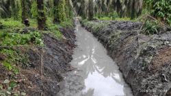 Atasi Banjir, Bupati Asahan Langsung Turun