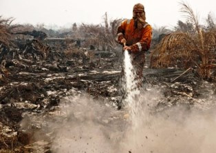 Pak Jokowi, Sawit PT Mal Diatas Lahan Gambut Jangan Lupa Ditindak