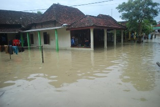 Banjir Genangi Sawah dan Rumah Warga di Pelalawan