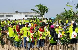 500 Orang Relawan Jepang Tanam Pohon Bakau Dipesisir Utara Jakarta