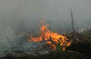 Aku Lahan Konsevasi Diserobot, PT AA Sumbang Asap