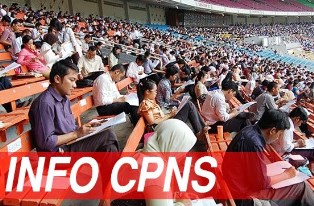 Info SPNS Tahun 2017, Ini Tahapannya