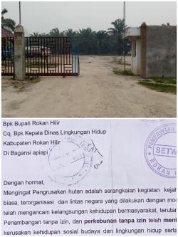 Diduga Berdiri Diatas Kawasan HPT, Pemda Rohil Diminta Cabut Izin Pabrik Kelapa Sawit PT.JGS