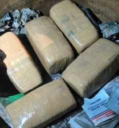 Panik, Pria Misterius Buang 5 Kg Ganja