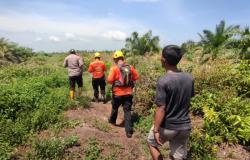 3 Hari Hilang di Hutan, Udin Leno Belum Ditemukan