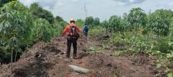 4 Hari Hilang di Hutan, Pencarian Warga Sungai Bakau Rohil Dihentikan