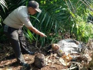 Tersengat Listrik, Riduan Tewas di Pinggir Kolam Ojol