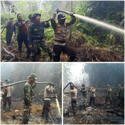 Karhutla, Dengan Cepat Sijago Merah Lahap Hutan dan Lahan Seluas 10 Hektar