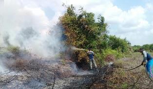 Warga; Terima Bapak Bupati Pelalawan, Apinya Telah Dijinakkan