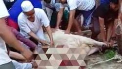 20 Detik Rilis Video Berita Guru Ngaji Tewas Setelah Sembelih Hewan Qurban