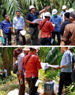 Caplok Lahan Warga Berdalih Areal Lahan HGU, Hakim  Gelar Sidang PS di Perkebunanan Sawit PT.GMR 