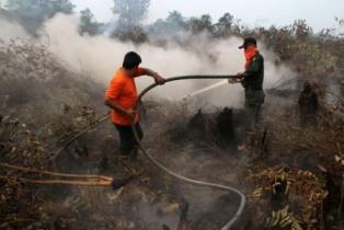 Sebelas Titik Panas Mengepung Riau