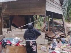 Gajah Liar Masuk ke Pemukiman dan Kebun Warga di Pekanbaru