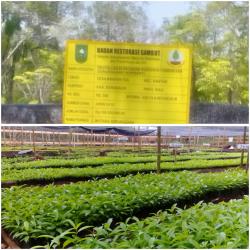 Kebahagian Petani Dapat Bantuan Pemerintahan Provinsi Riau