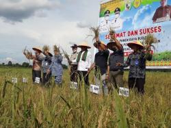 Tingkatkan Ekonomi dan Ketahanan Pangan, Pemkab Pelalawan Komit Majukan Petani