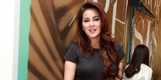 Artis Seksi Nan Cantik Coba Keberuntungan Di Dunia Politik