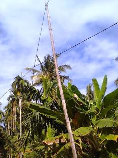 Kabel Tengangan Tinggi PLN di Tembilahan Pakai Tiang Kayu